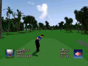 World Cup Golf - Professional Edition (US) screen shot game playing